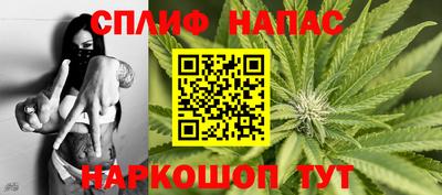 СК Гусев