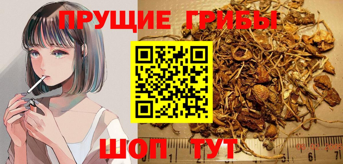 Галлюциногенные грибы Cubensis  Вход с VPN  Псилоцибиновые грибы GOLDEN TEACHER  что такое   Ногинск 